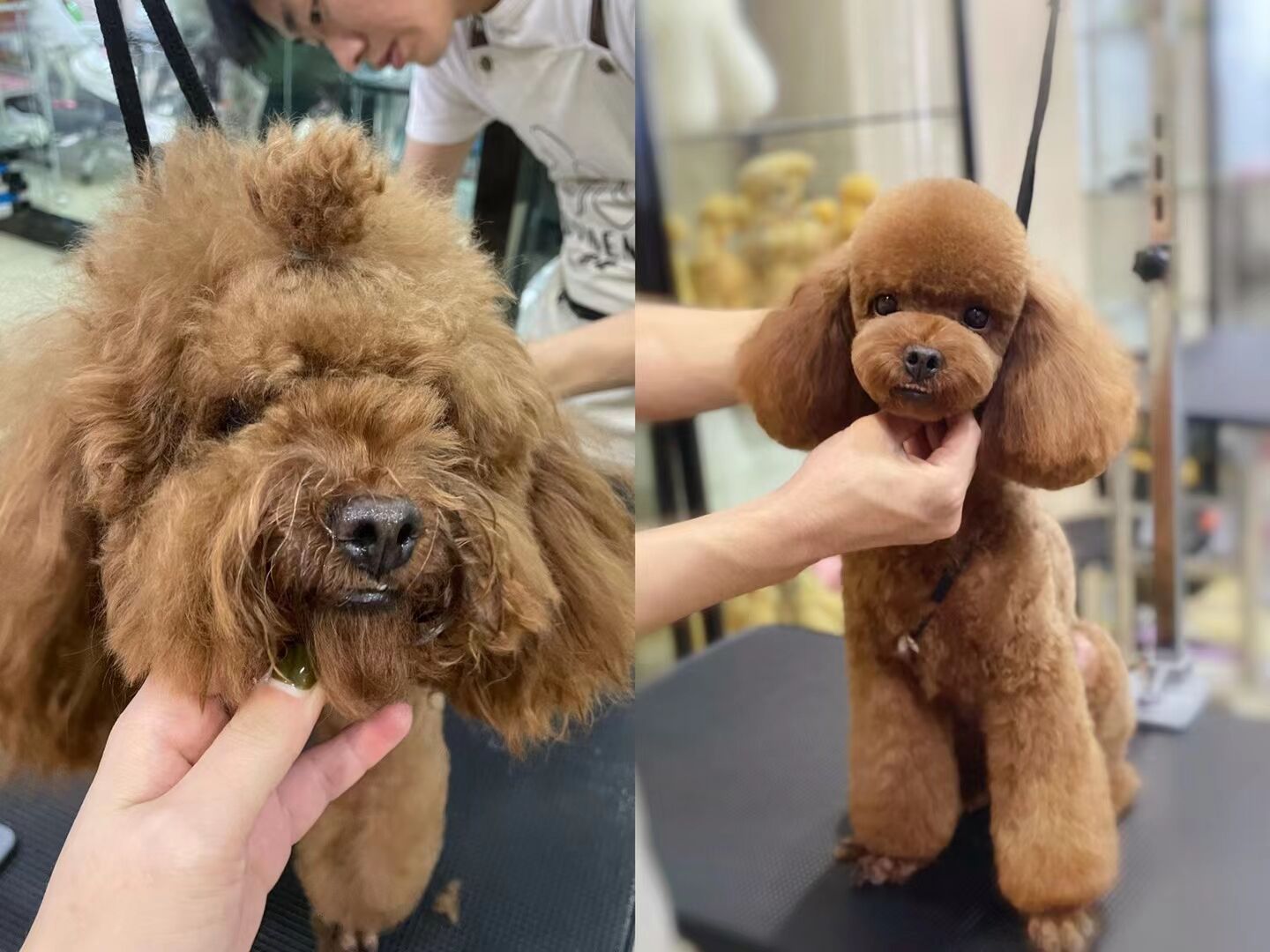 優(yōu)秀作品