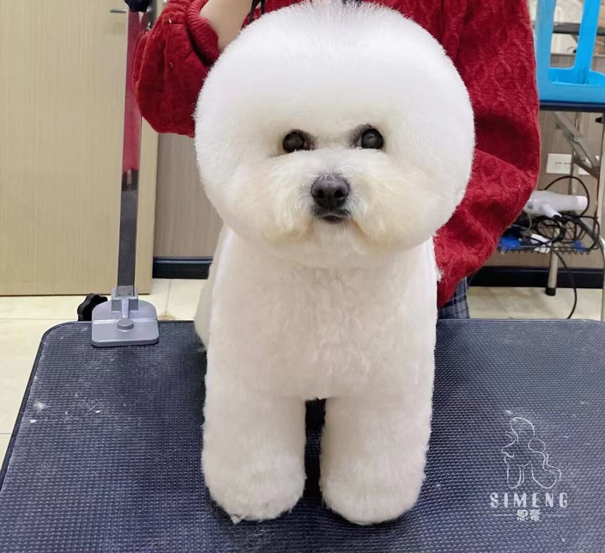 優(yōu)秀作品