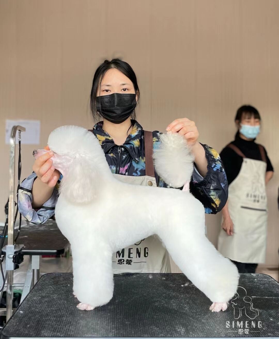 優(yōu)秀作品