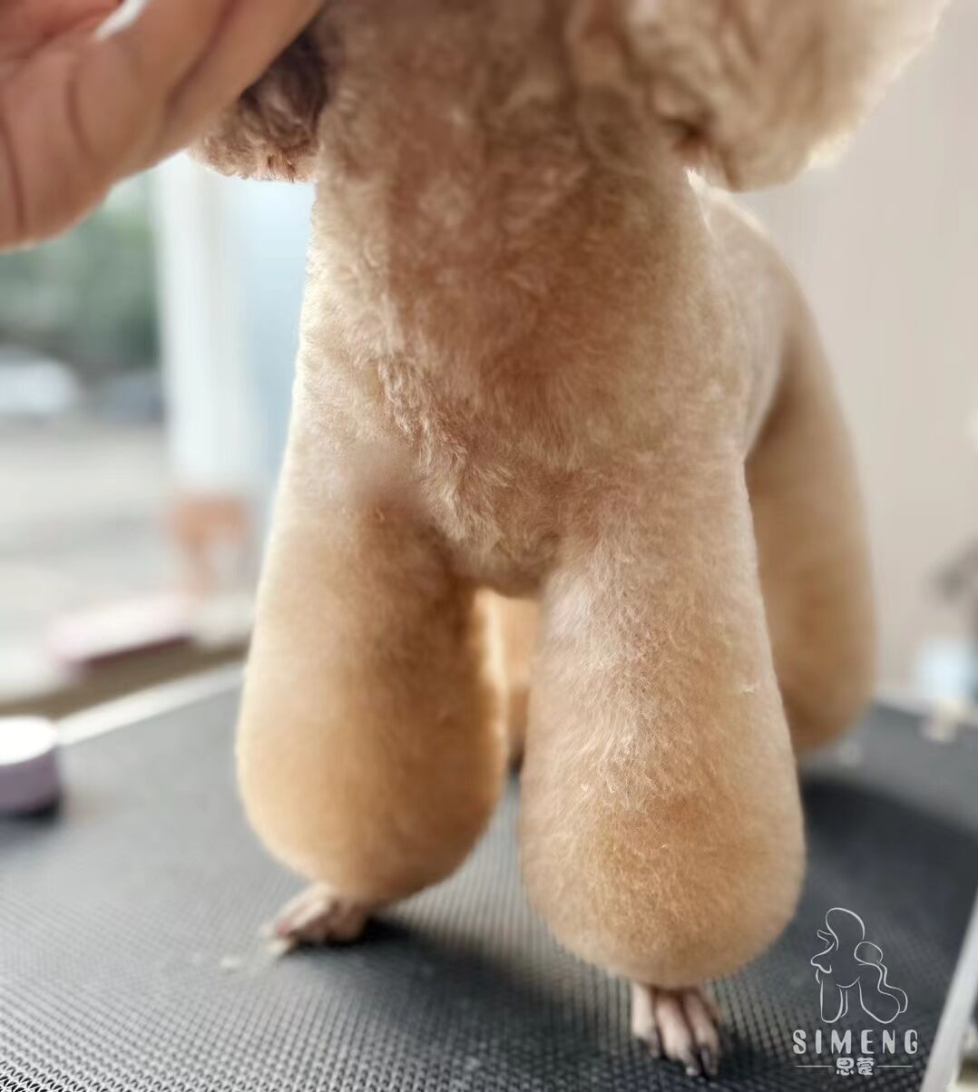 優(yōu)秀作品