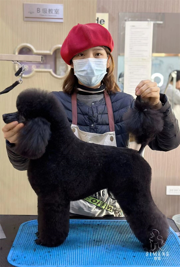 優(yōu)秀作品