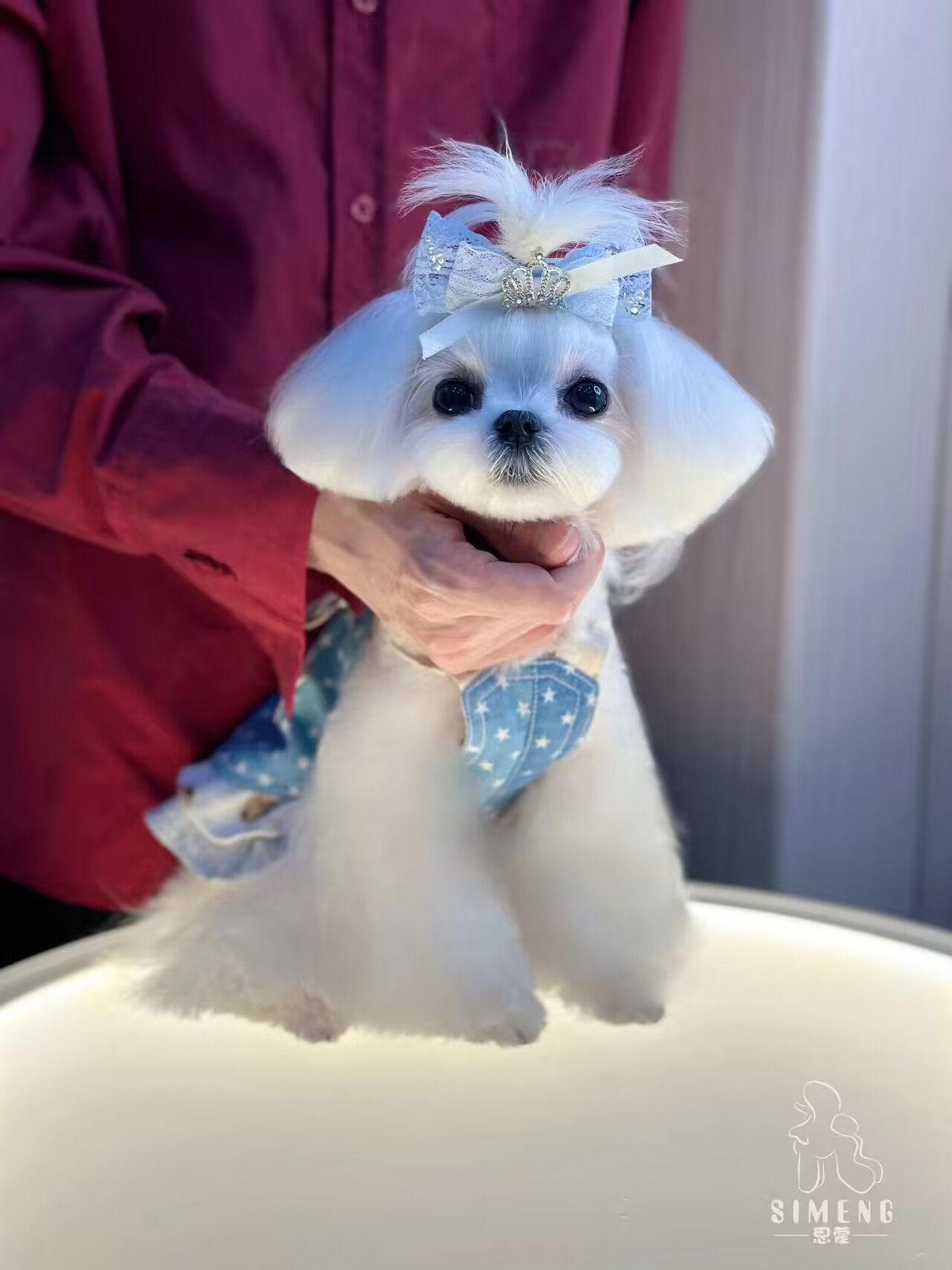 優(yōu)秀作品