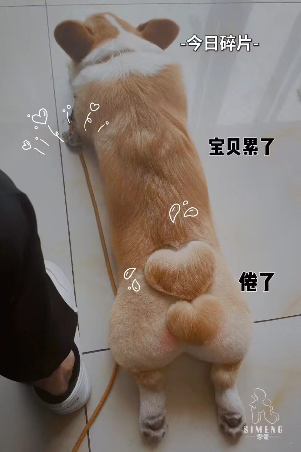 優(yōu)秀作品