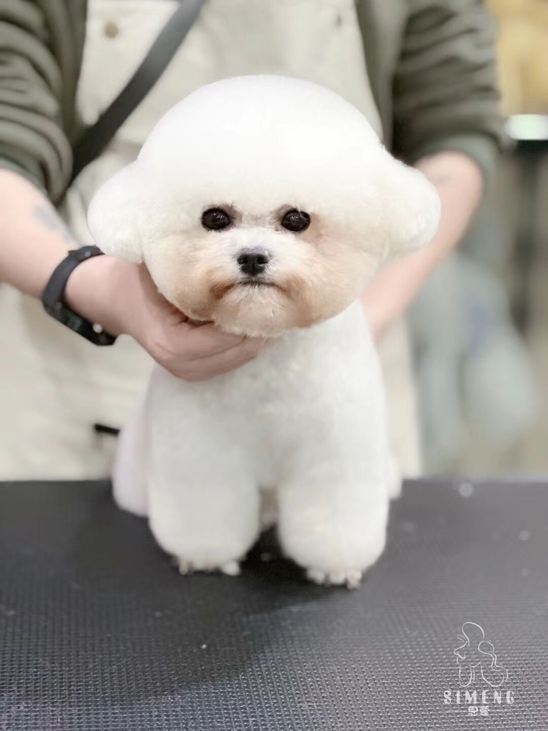 優(yōu)秀作品