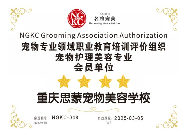  我們的榮譽(yù)