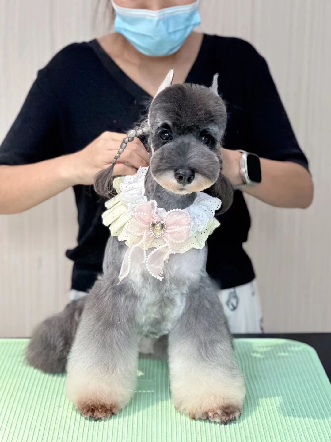 優(yōu)秀作品