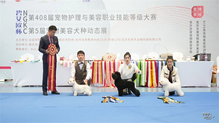 我們的榮譽(yù)