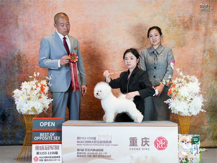 我們的榮譽(yù)