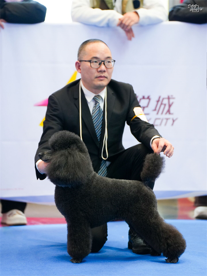 我們的榮譽(yù)