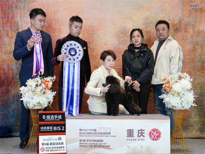 我們的榮譽(yù)