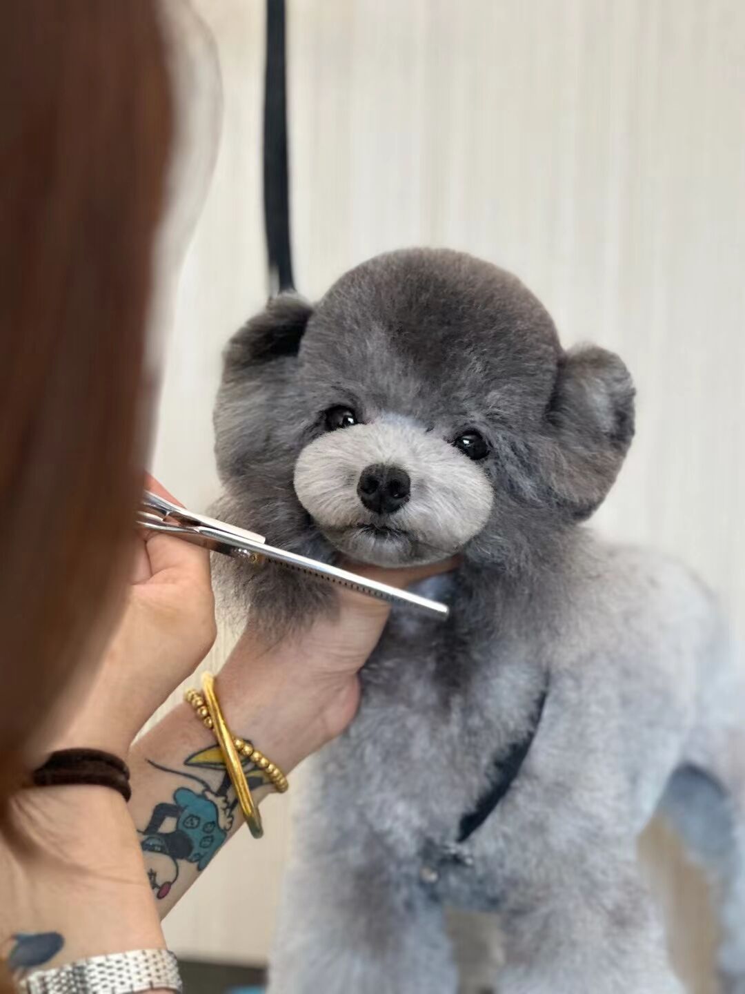 優(yōu)秀作品