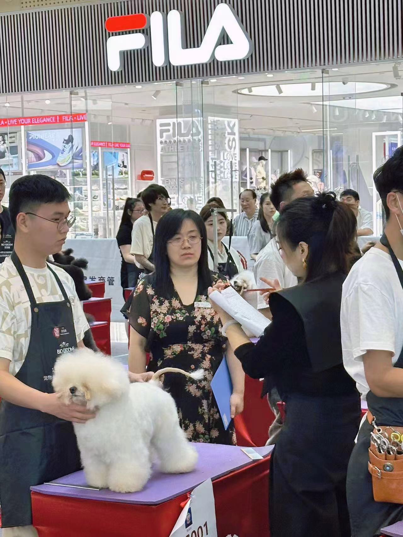 我們的榮譽(yù)