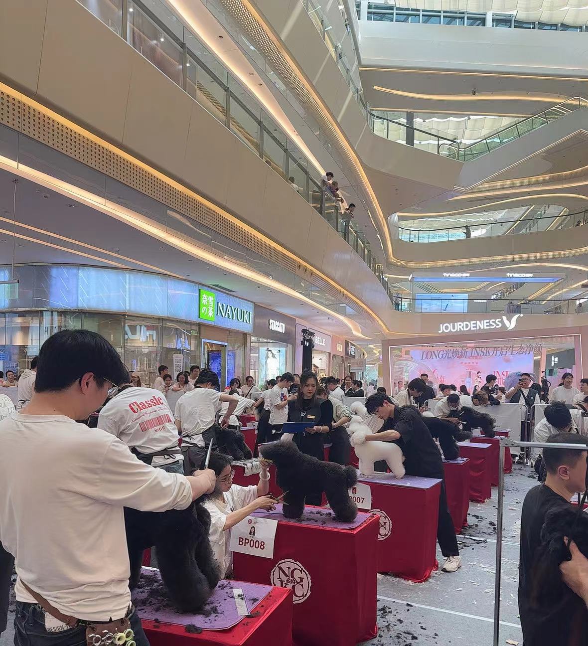 我們的榮譽(yù)