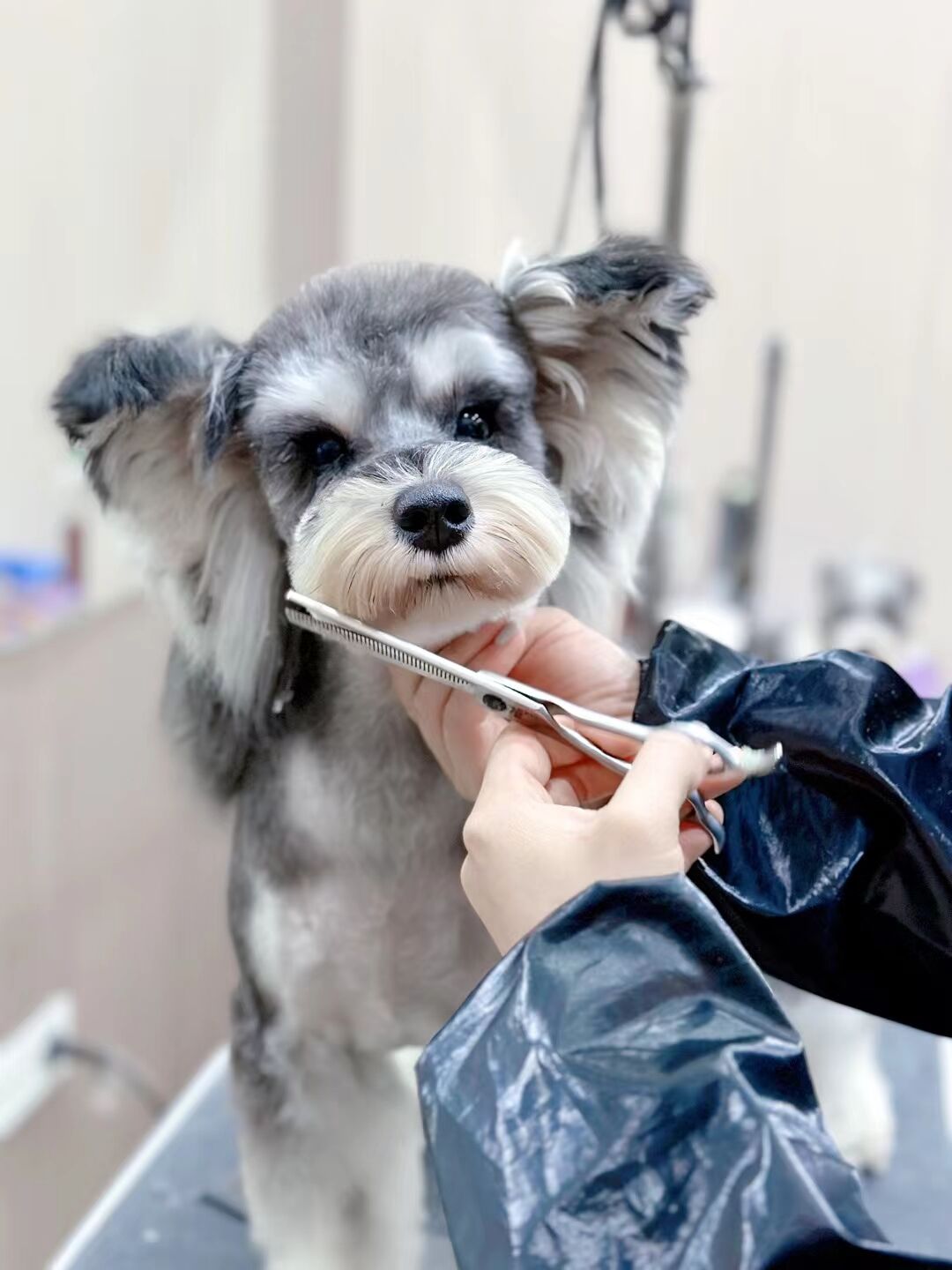 優(yōu)秀作品
