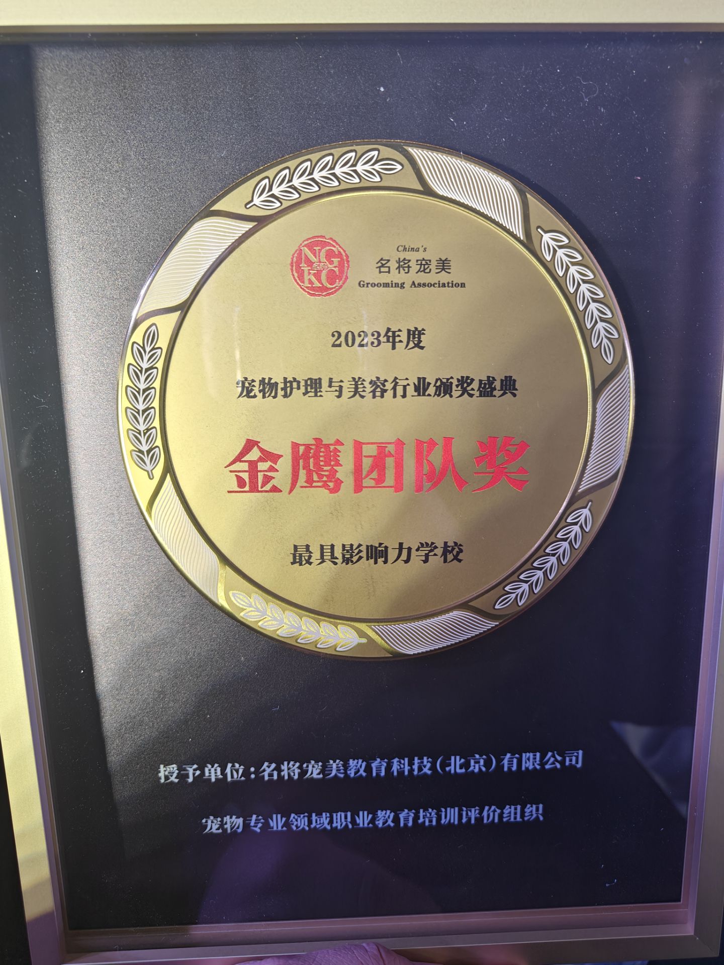 我們的榮譽(yù)