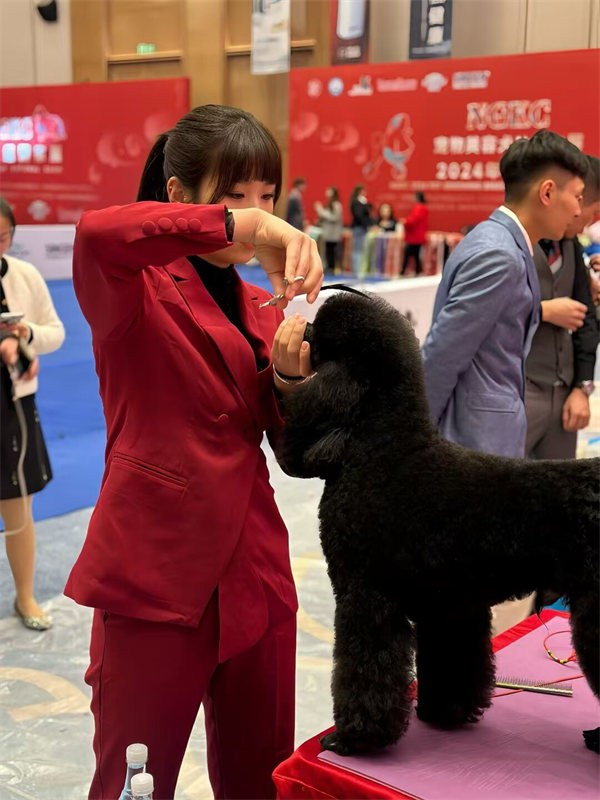 我們的榮譽