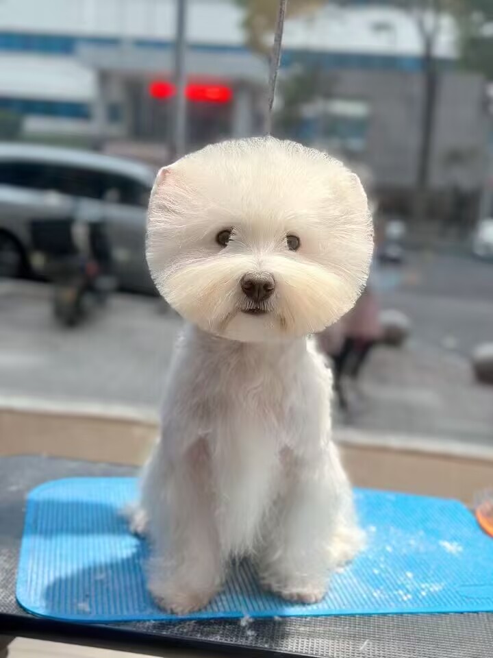 優(yōu)秀作品