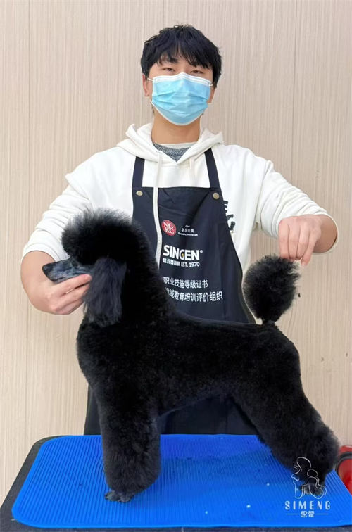 優(yōu)秀作品