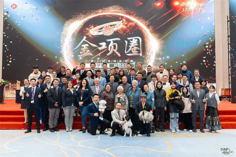我們的榮譽(yù)