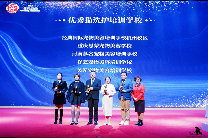 我們的榮譽(yù)