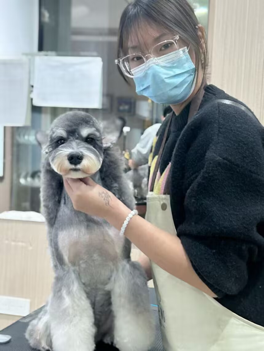 優(yōu)秀作品