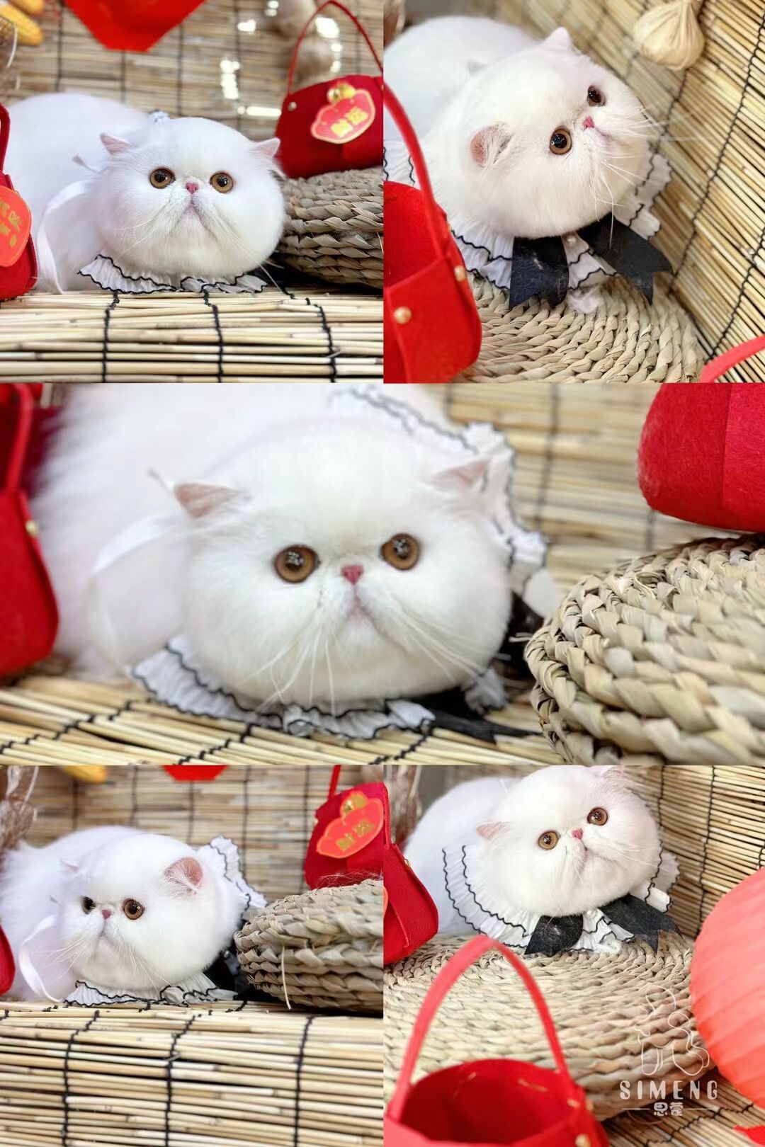優(yōu)秀作品