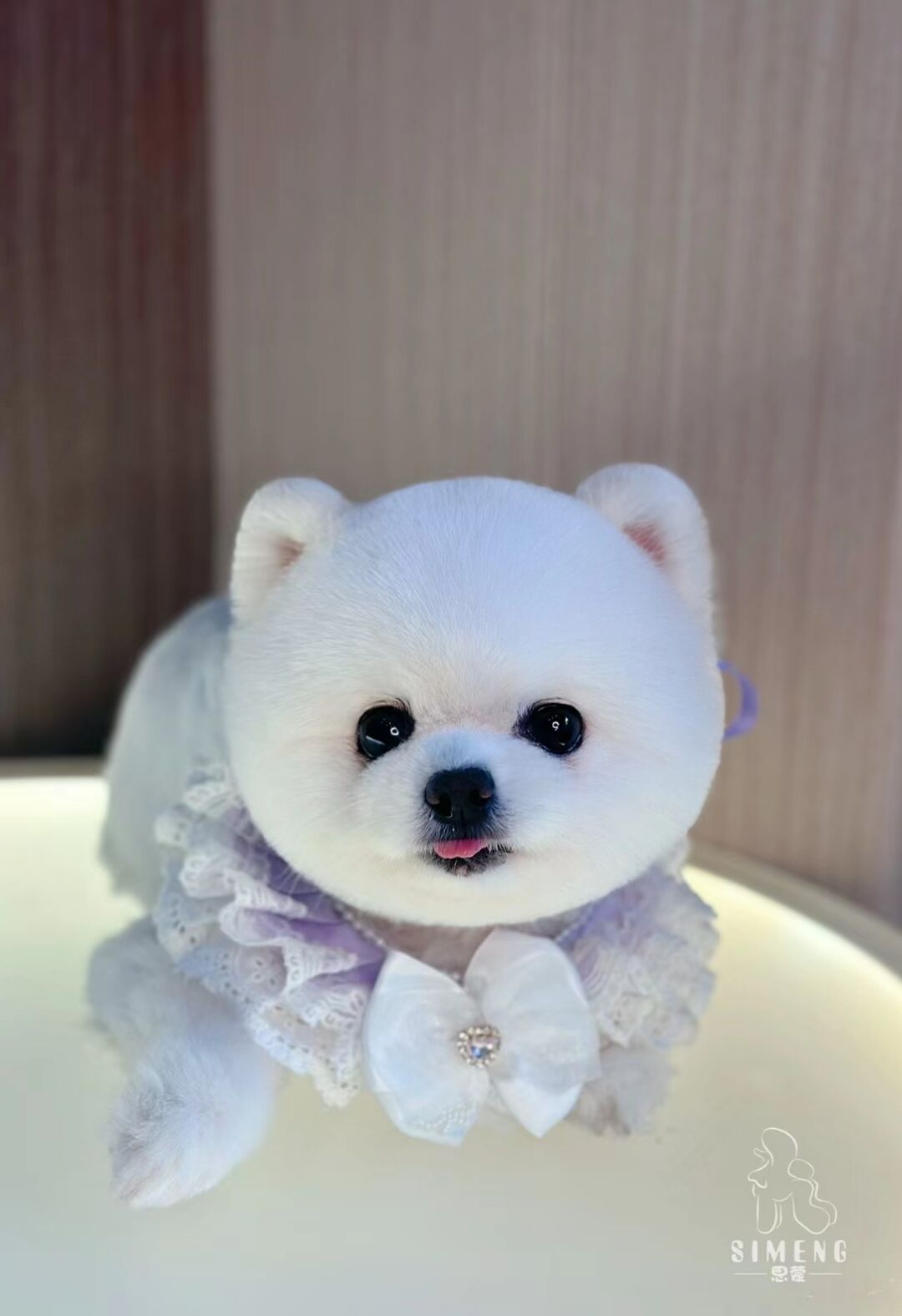 優(yōu)秀作品