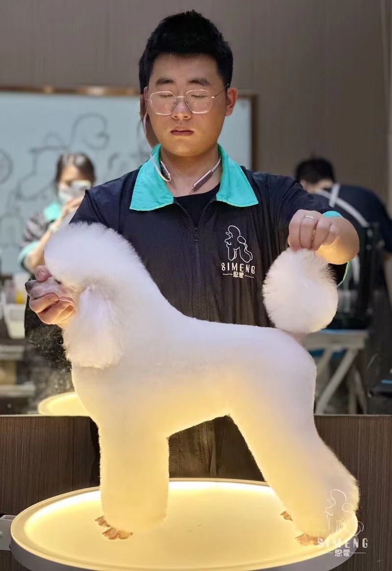 優(yōu)秀作品
