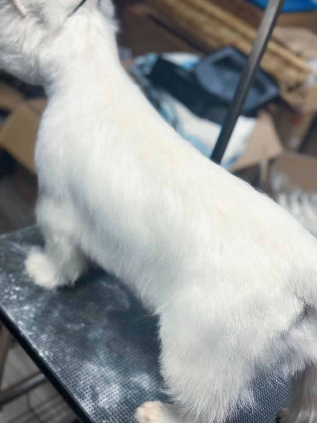 優(yōu)秀作品