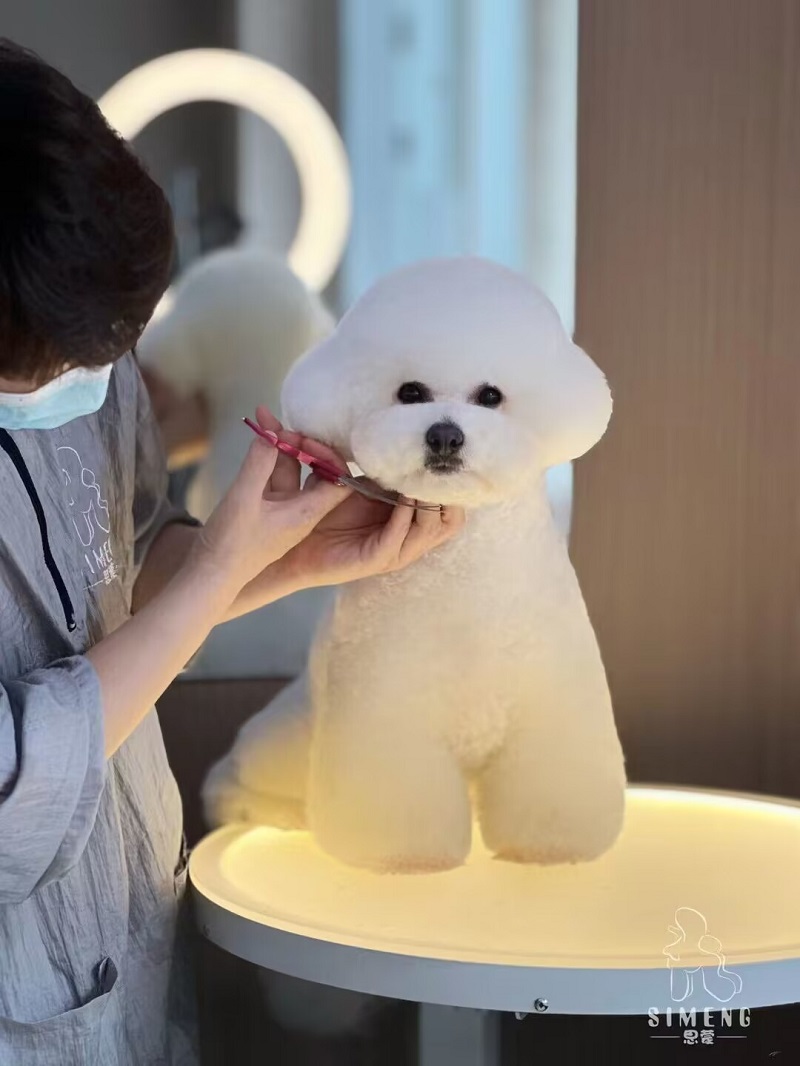 優(yōu)秀作品
