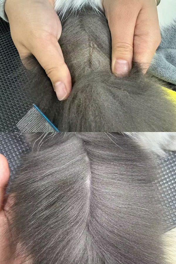 優(yōu)秀作品