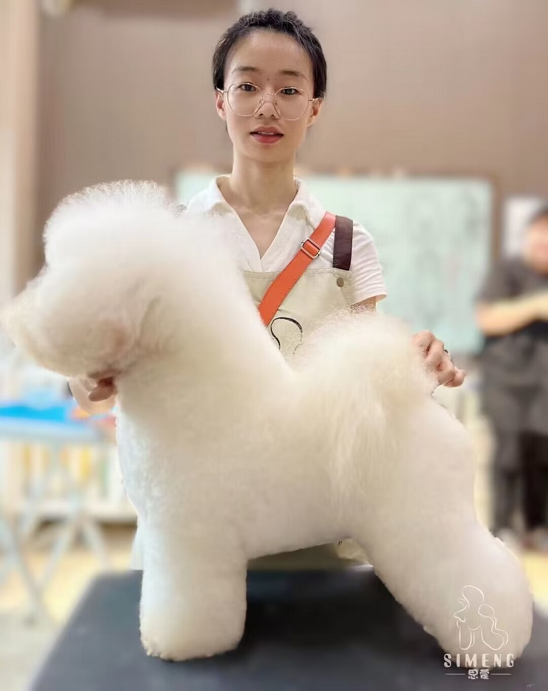 優(yōu)秀作品
