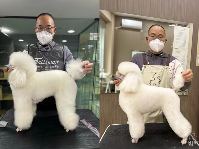 優(yōu)秀作品