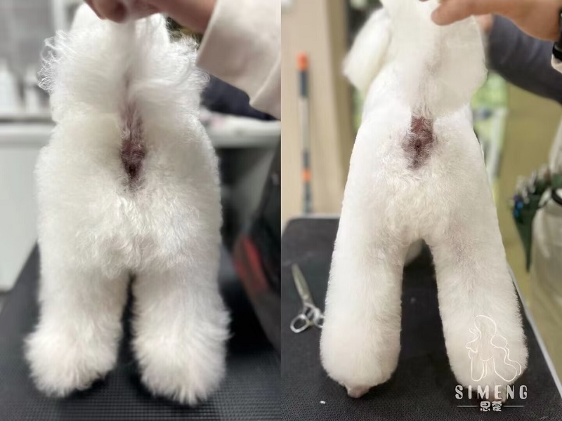 優(yōu)秀作品
