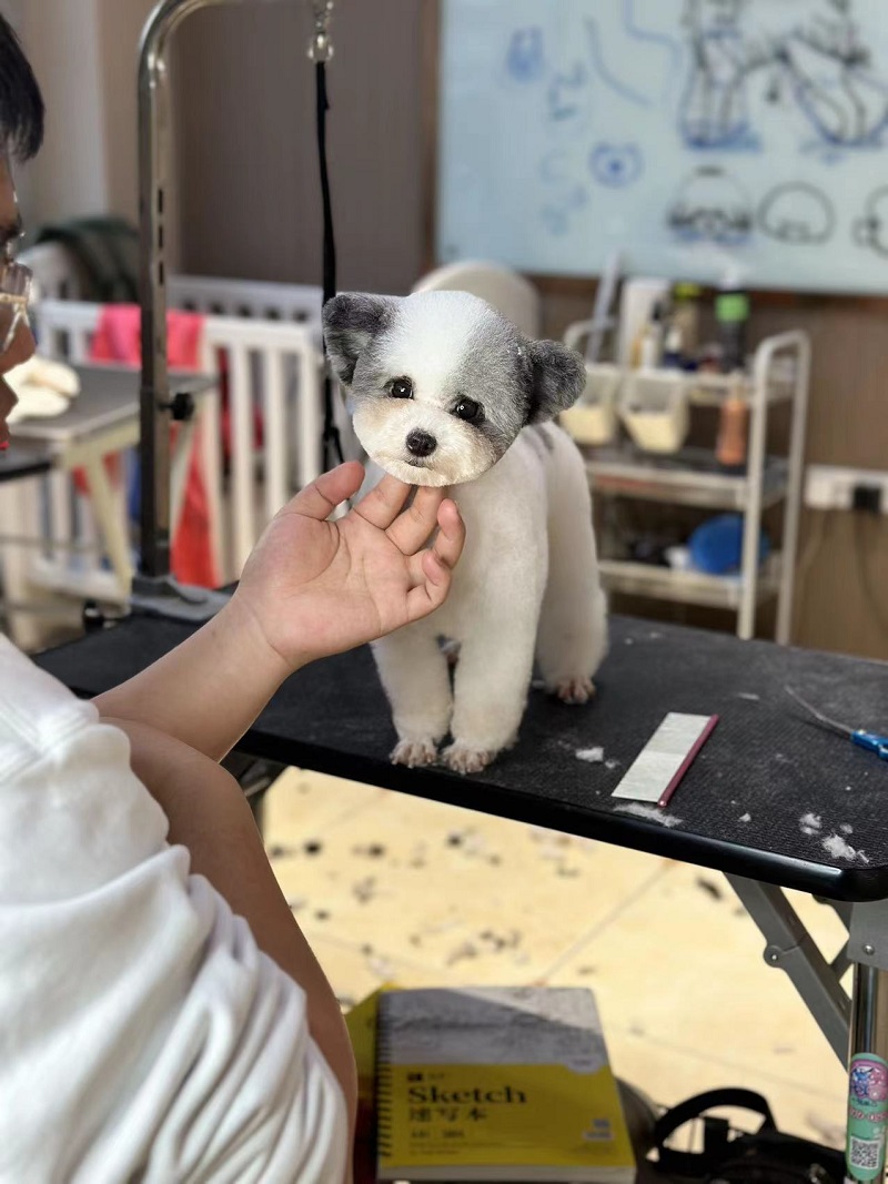 優(yōu)秀作品