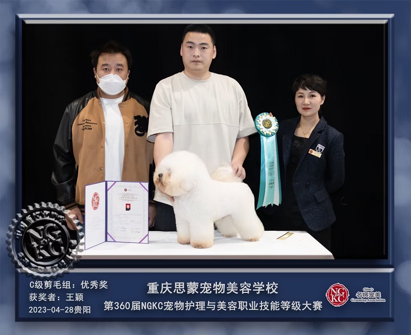 我們的榮譽(yù)