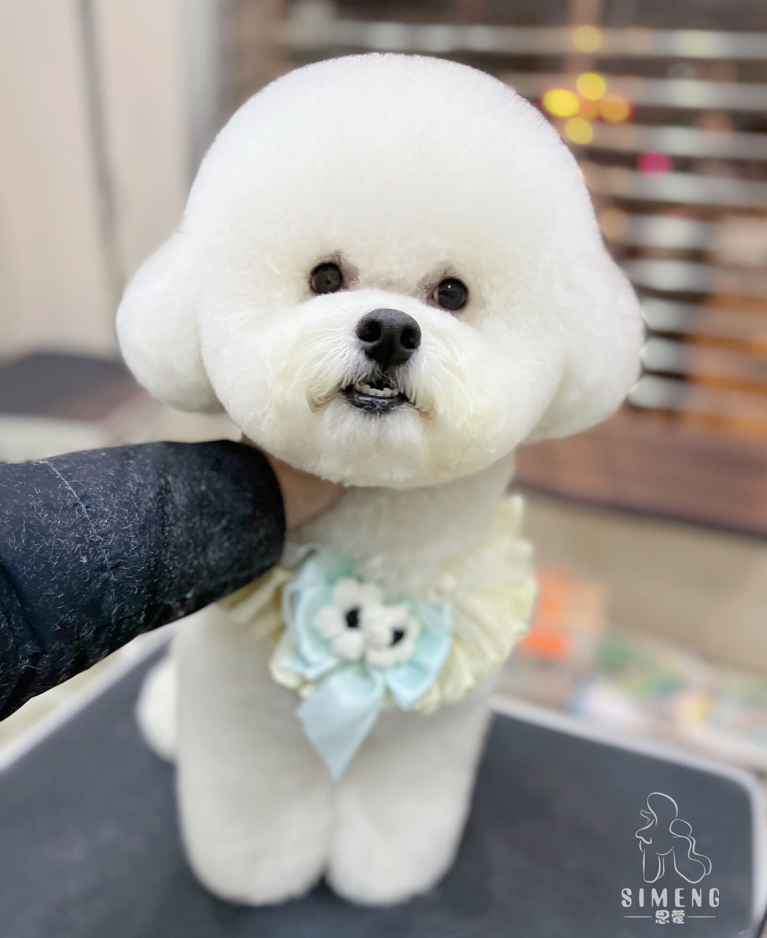 優(yōu)秀作品